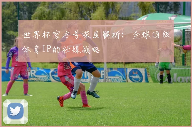 世界杯官方号深度解析：全球顶级体育IP的社媒战略