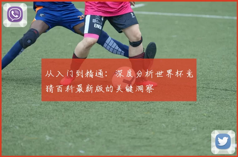 从入门到精通:深度分析世界杯竞猜百科最新版的关键洞察