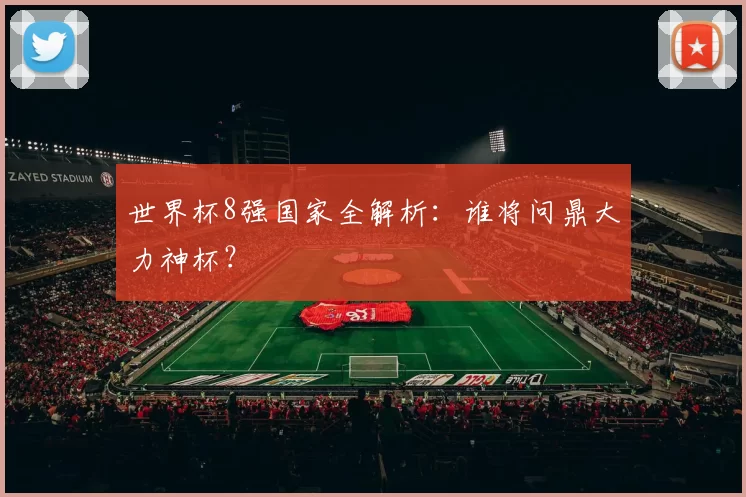 世界杯8强国家全解析：谁将问鼎大力神杯？
