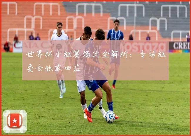 世界杯小组赛场次全解析,专访组委会独家回应