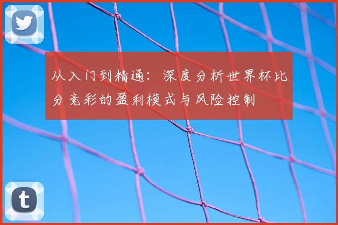 从入门到精通:深度分析世界杯比分竞彩的盈利模式与风险控制