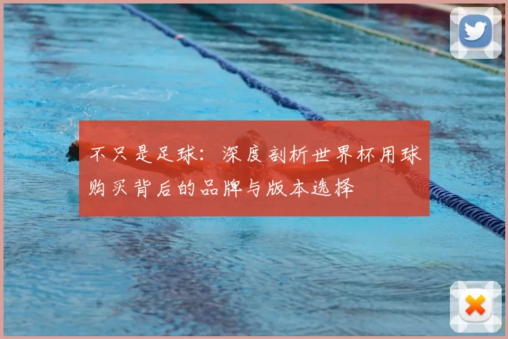 不只是足球：深度剖析世界杯用球购买背后的品牌与版本选择