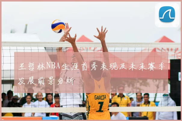 王哲林NBA生涯首秀表现及未来赛季发展前景分析