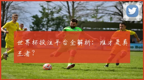 世界杯投注平台全解析：谁才是真王者？