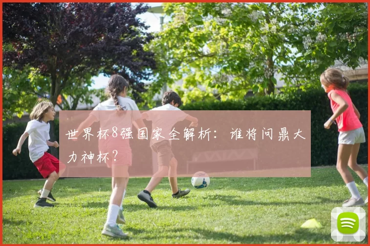 世界杯8强国家全解析:谁将问鼎大力神杯?